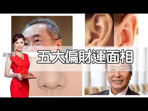 豬膽鼻 面相|豬膽鼻面相分析